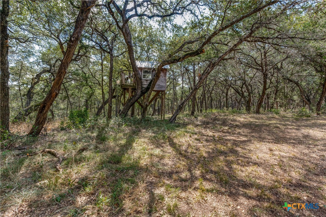 25867 Lewis Ranch Road New Braunfels, TX 78132 - Photo 29 of 42