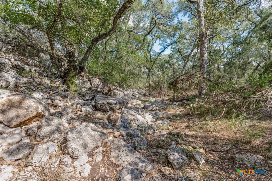 25867 Lewis Ranch Road New Braunfels, TX 78132 - Photo 37 of 42