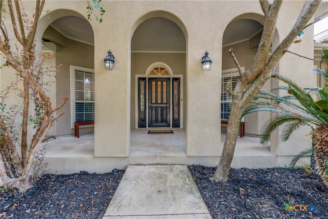 25867 Lewis Ranch Road New Braunfels, TX 78132 - Photo 5 of 42