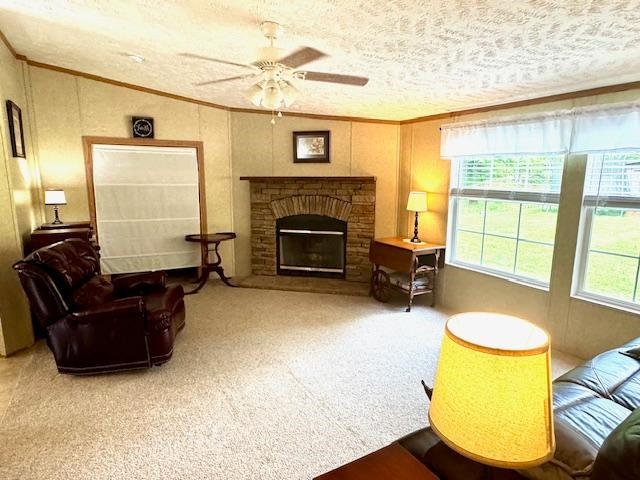 281 Craig Branch Road Olive Hill, KY 41164 - Photo 3 of 27