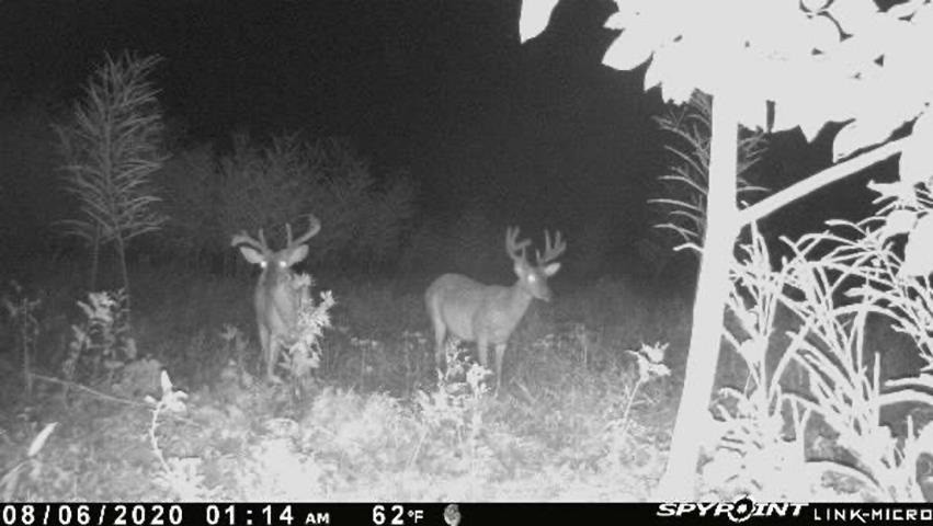 118 Lewis Road Rolling Fork, MS 39159 - Photo 11 of 29 Photo 11