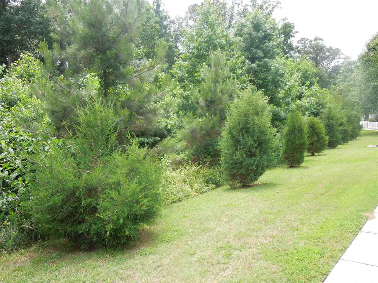 320 Gilman Lane, Unit 108 Raleigh, NC 27610 - Photo 19 of 22 Another view from the front of the home