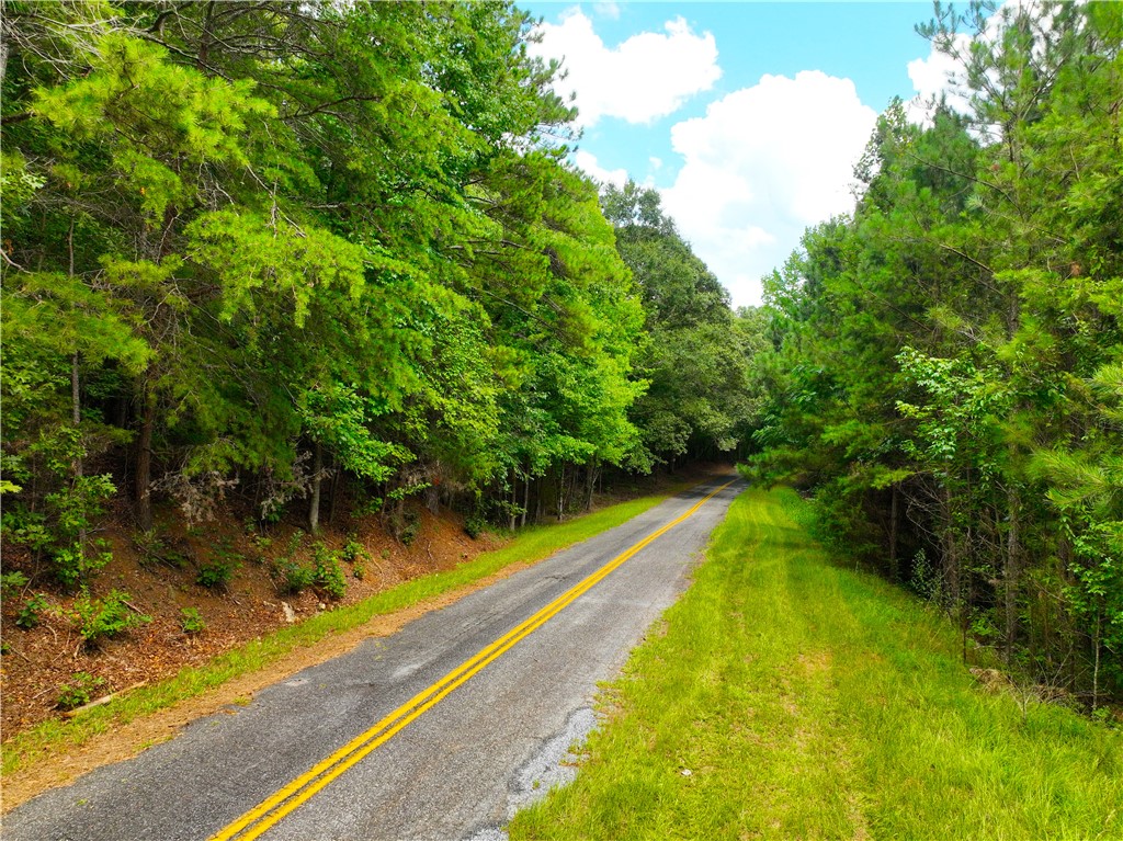 162 Sarah Simpson Road Iva, SC 29655 - Photo 2 of 21 Gallery Image 2