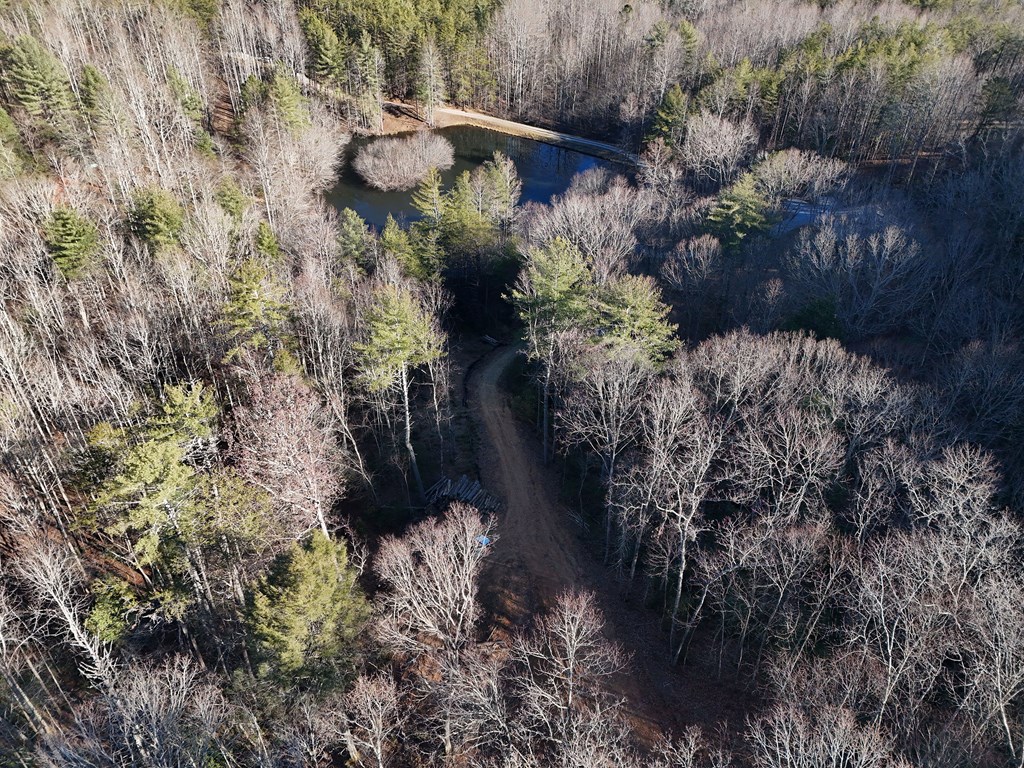 5-acres Hells Holw Way Blue Ridge, GA 30513 - Photo 24 of 43 Gallery Image 24