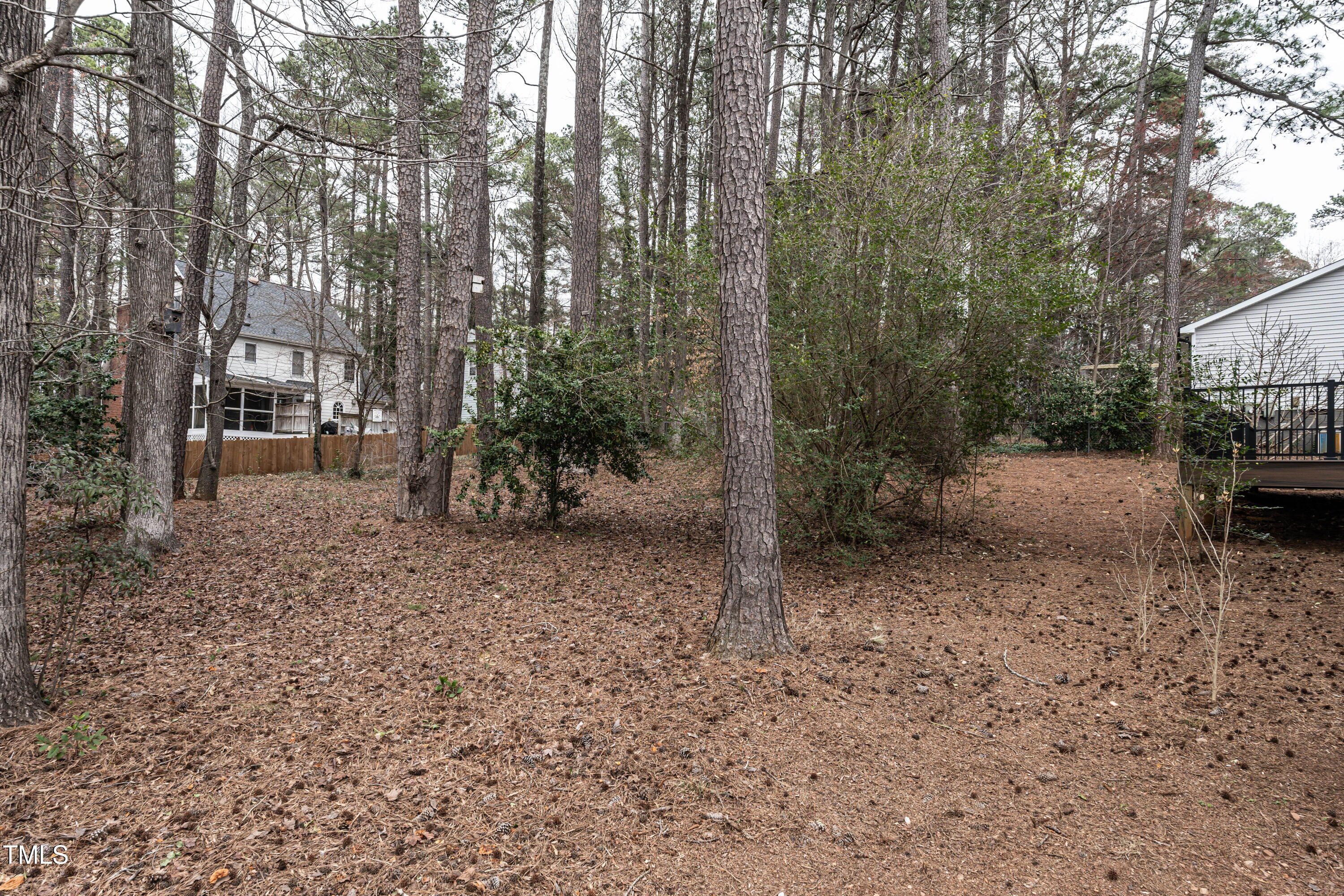 1036 Whetstone Court Raleigh, NC 27615 - Photo 28 of 29 virtual-tour-145137-photo-17413825829653