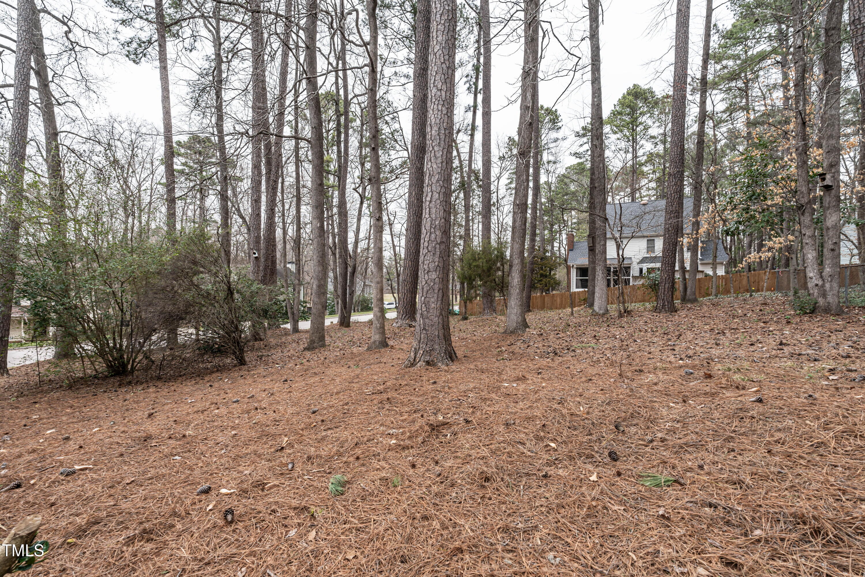1036 Whetstone Court Raleigh, NC 27615 - Photo 29 of 29 virtual-tour-145137-photo-17413825701396