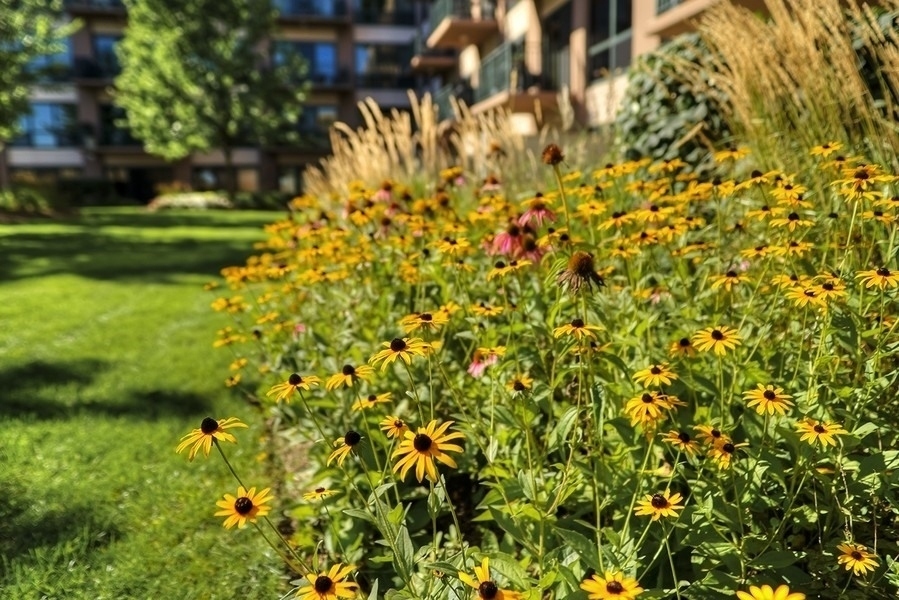 807 Davis Street, Unit 311 Evanston, IL 60201 - Photo 21 of 22