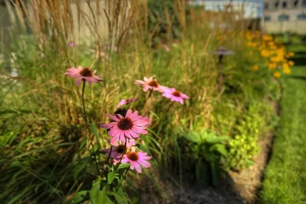 $3,200 | 807 Davis Street, Unit 311, Evanston, IL 60201