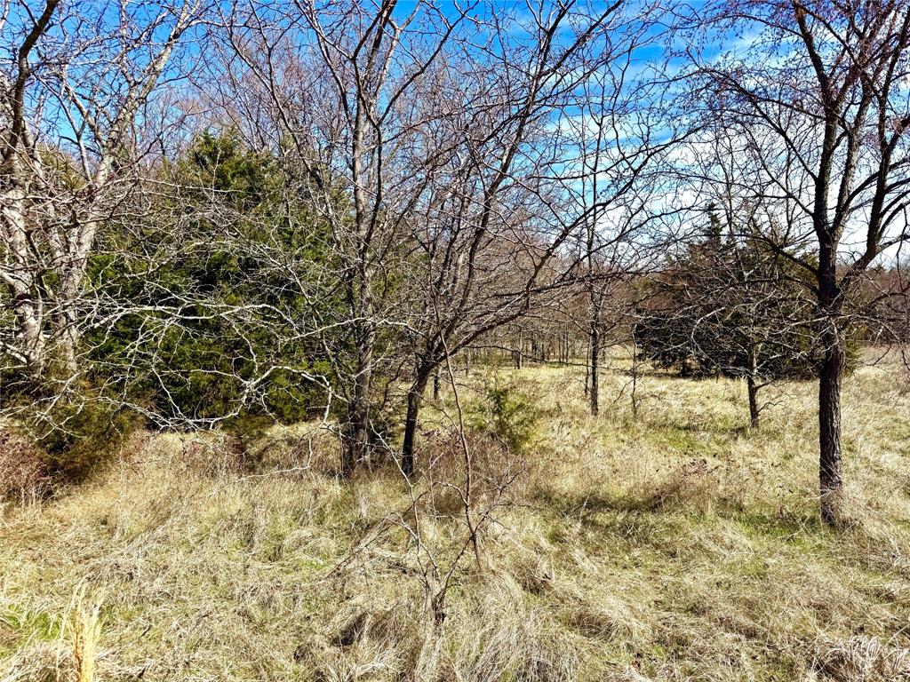 Tbd Dixie Road Whitesboro, TX 76273 - Photo 12 of 18 a view of a yard with large trees