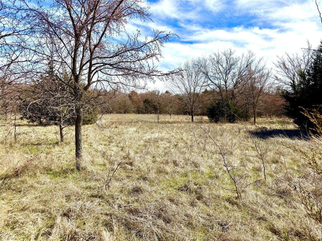 Tbd Dixie Road Whitesboro, TX 76273 - Photo 13 of 18 a view of yard with trees