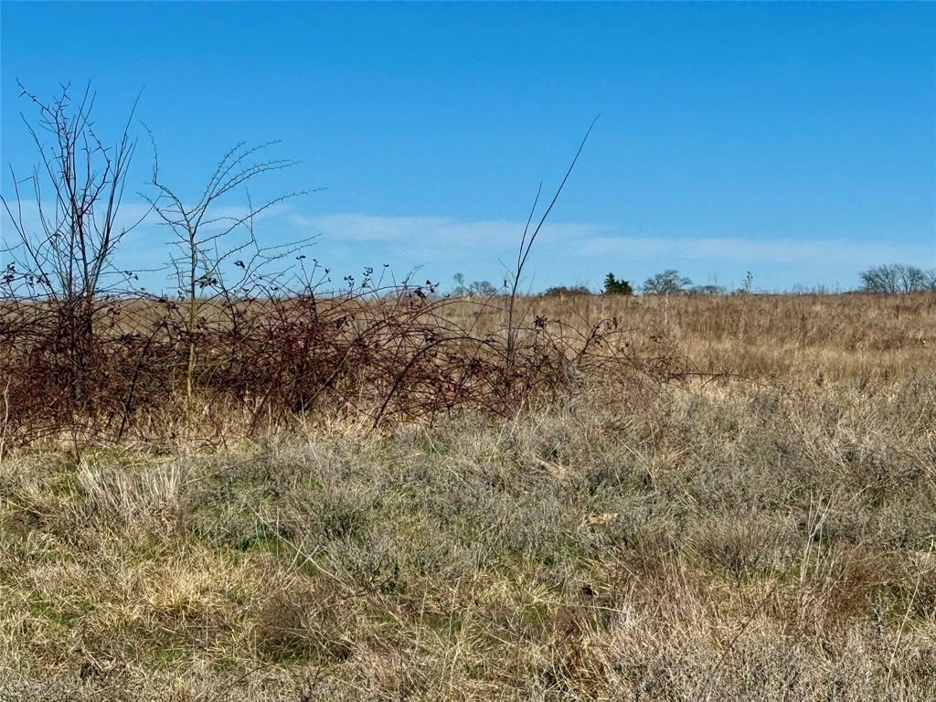 Tbd Dixie Road Whitesboro, TX 76273 - Photo 15 of 18 a view of a dry field