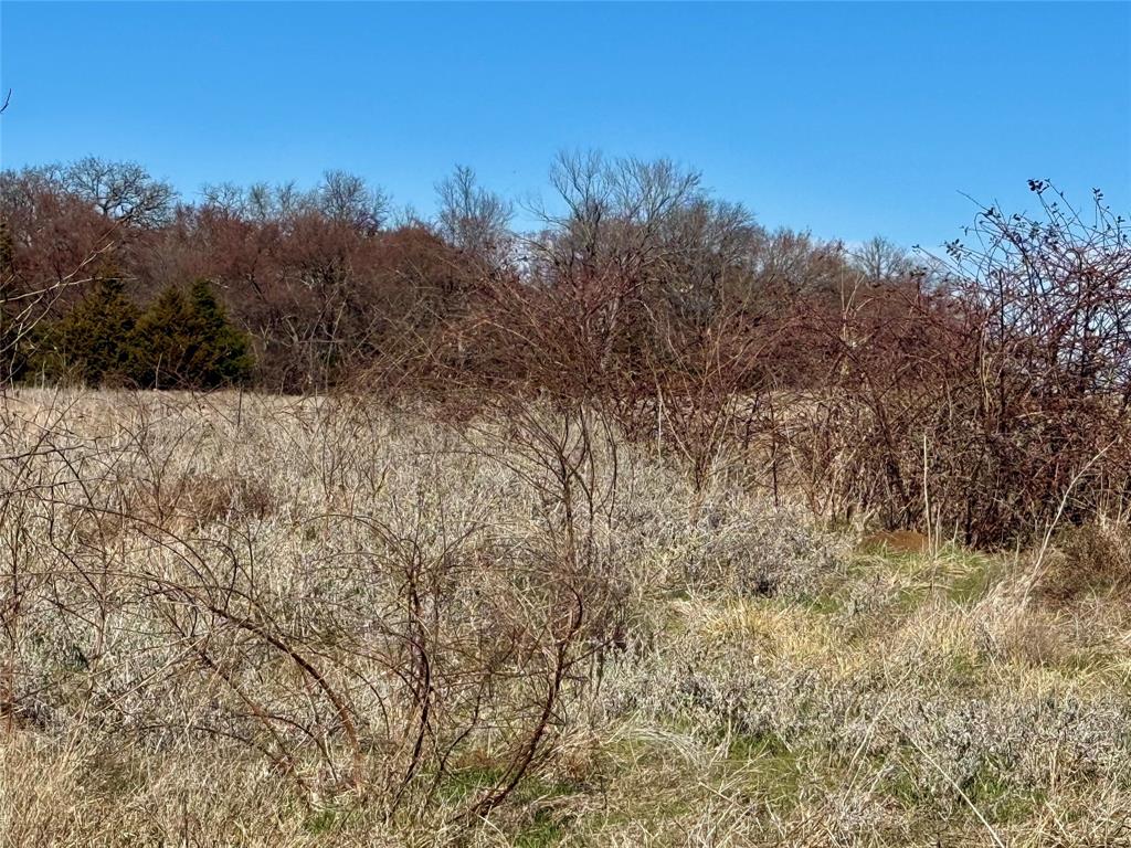 Tbd Dixie Road Whitesboro, TX 76273 - Photo 16 of 18 a view of a dry yard with trees in the background