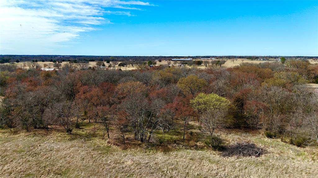 Tbd Dixie Road Whitesboro, TX 76273 - Photo 5 of 18 a view of yard with outdoor space