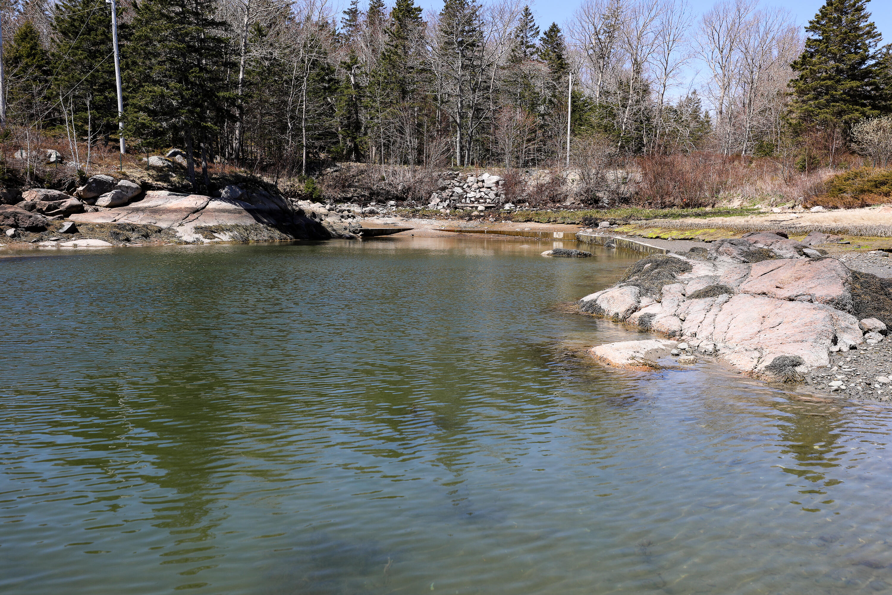 111 Old Place Road Deer Isle, ME 04627 - Photo 2 of 6 184A3451