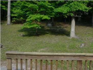 5024 Old Jackson Road Apison, TN 37302 - Photo 4 of 11 Additional Photo