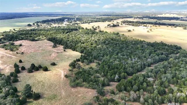 a view of city and ocean