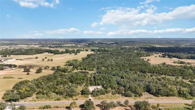 a view of a bunch of trees and bushes