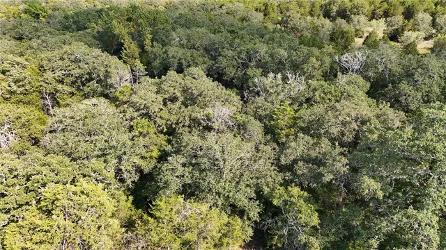 $549,900 | 2336 St Mcdade Tx 78650, McDade, TX 78650