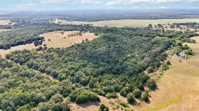 a view of a yard with an outdoor space