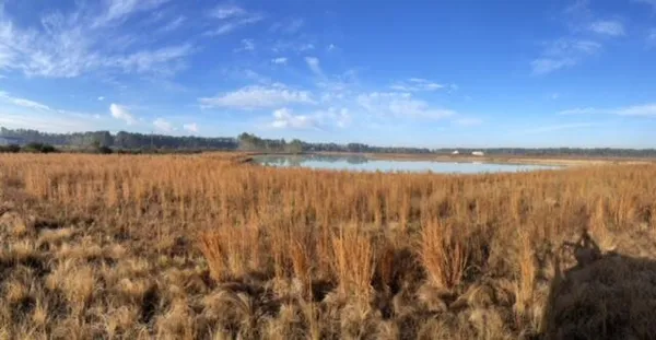 $13,500,000 | 765 Percy Lane, Ridgeville, SC 29472