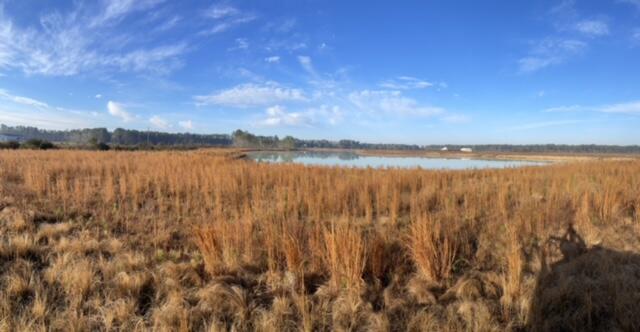 765 Percy Lane Ridgeville, SC 29472 - Photo 1 of 9 Lebanon 9