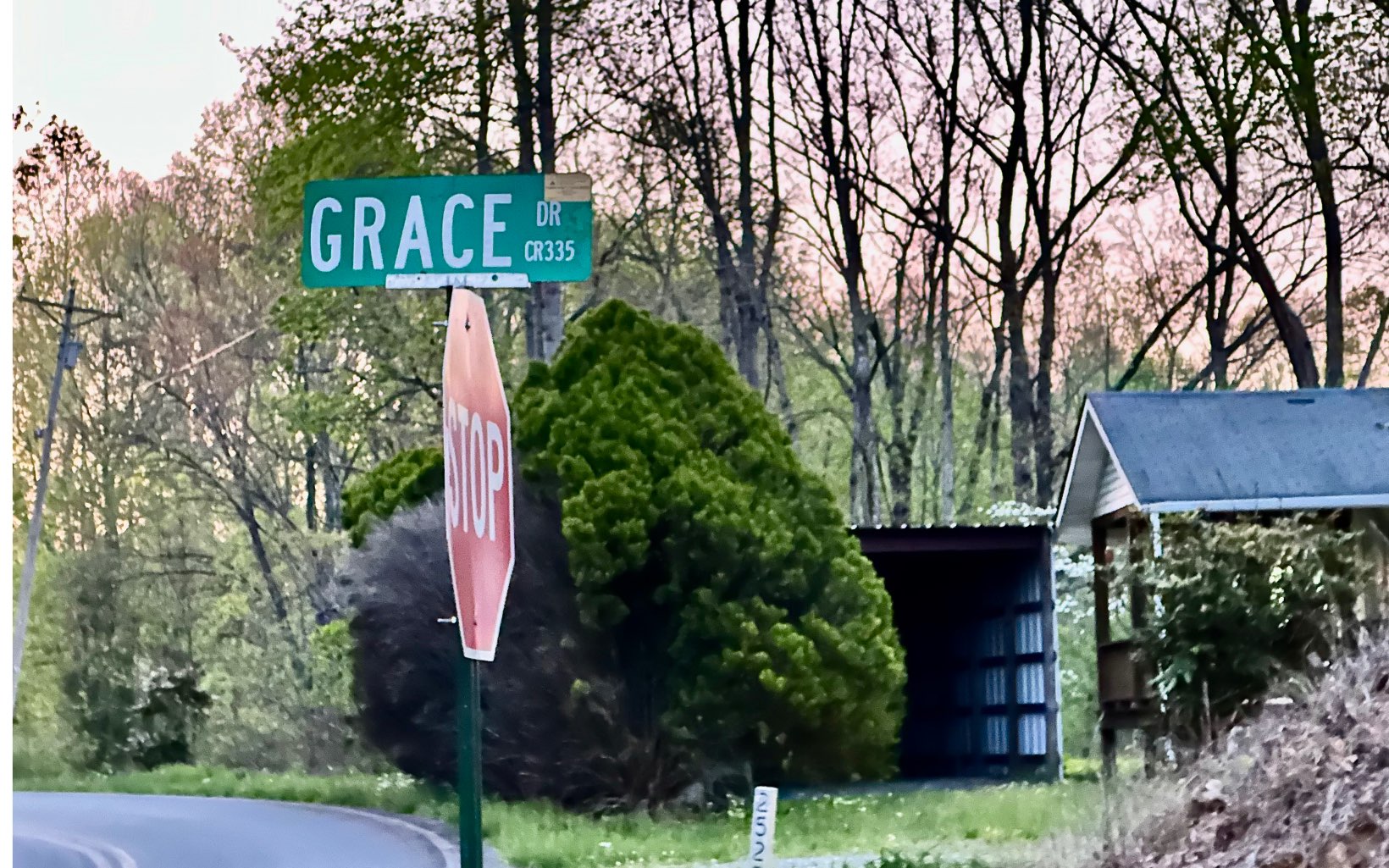 Grace Drive Blue Ridge, GA 30513 - Photo 2 of 7 a street sign on a pole on a sidewalk