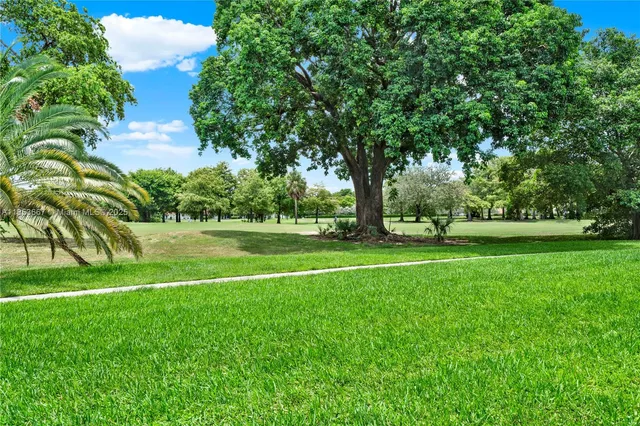 a view of a park with large trees