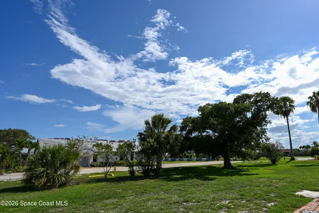 a view of a big yard with large trees