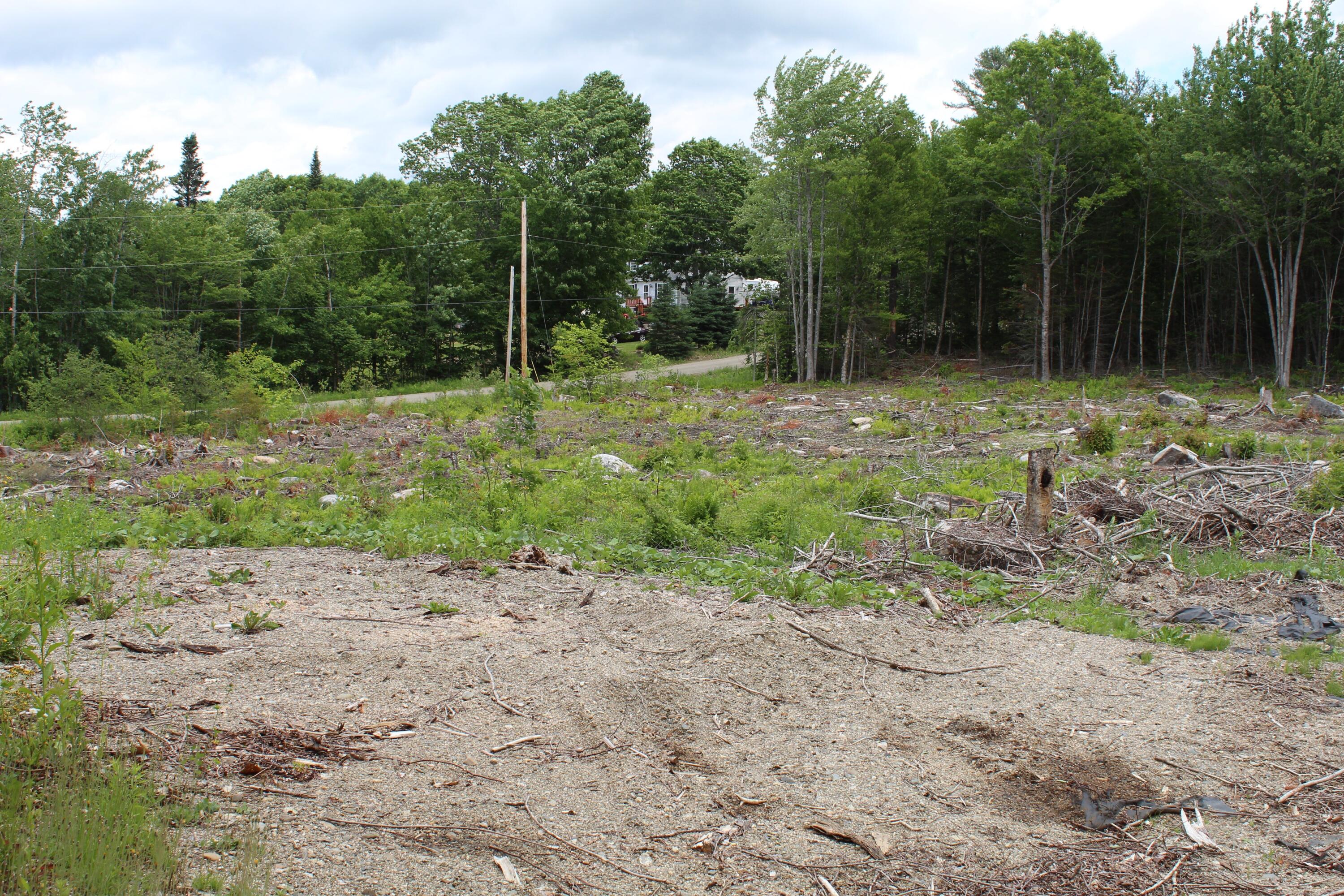 614 North Searsport Road Frankfort, ME 04438 - Photo 4 of 12 IMG_2562