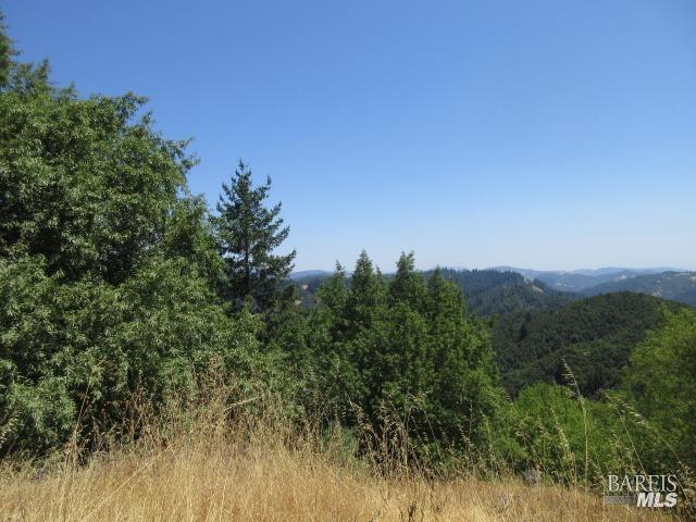 23480 Fort Ross Road Cazadero, CA 95421 - Photo 5 of 5 Gallery Image 5