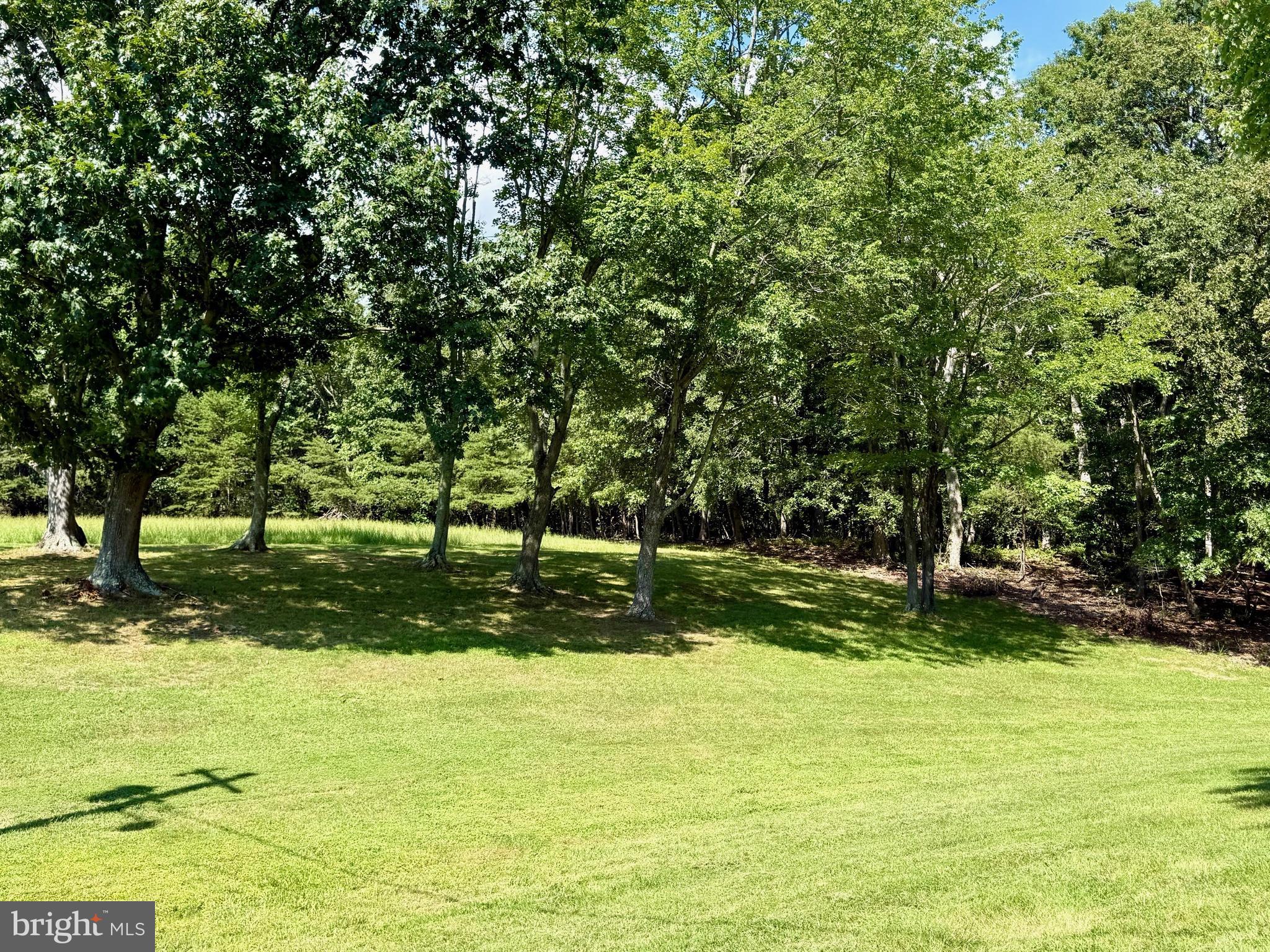 22530 Bull Road Leonardtown, MD 20650 - Photo 20 of 26 Gallery Image 20