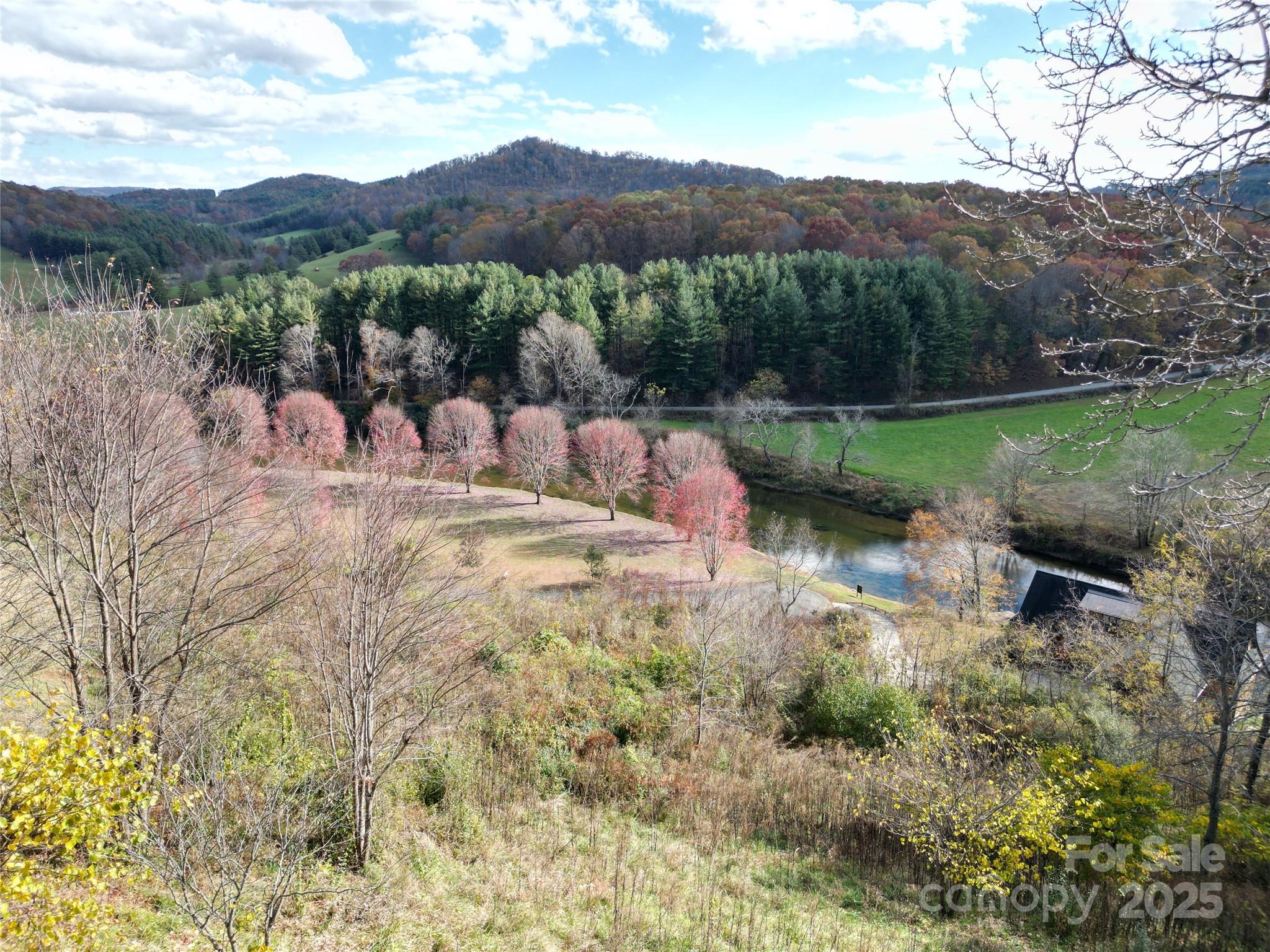 520 East Landing Ridge Circle Jefferson, NC 28640 - Photo 42 of 48 a view of a back yard