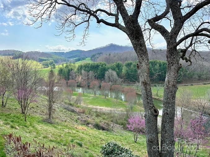 520 East Landing Ridge Circle Jefferson, NC 28640 - Photo 45 of 48 a backyard of a house with lots of green space and fountain