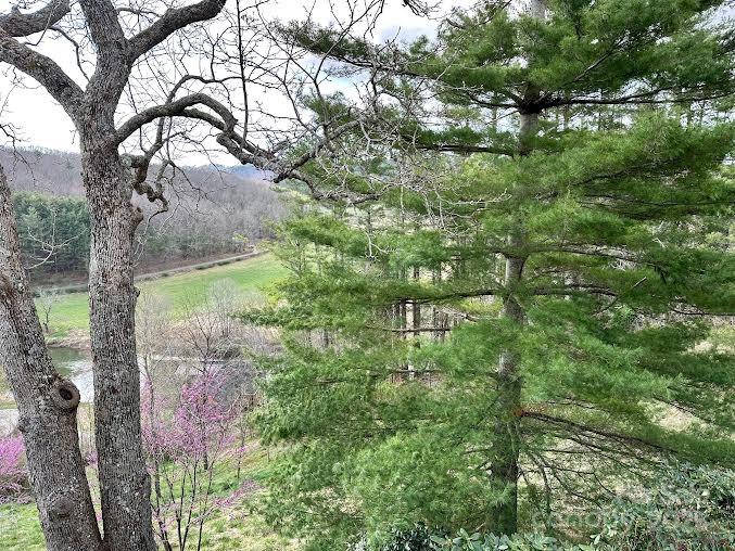 520 East Landing Ridge Circle Jefferson, NC 28640 - Photo 46 of 48 a backyard of a house with lots of green space and lake view
