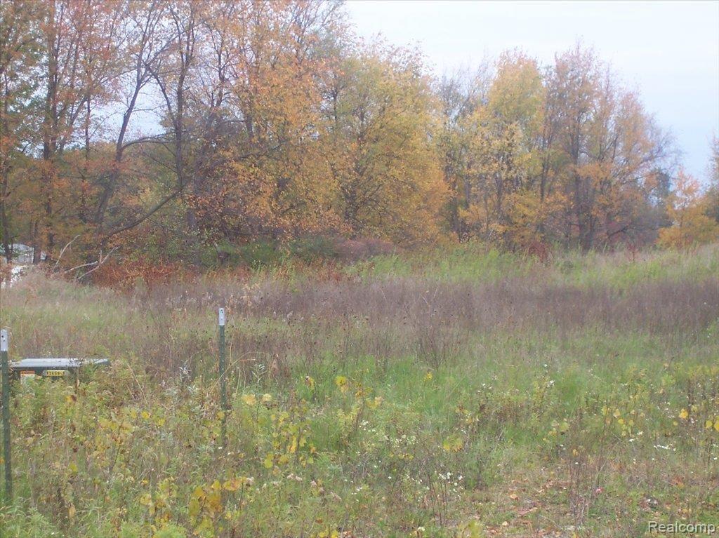 Unit52 Iosco Ridge Drive Gregory, MI 48137 - Photo 1 of 1