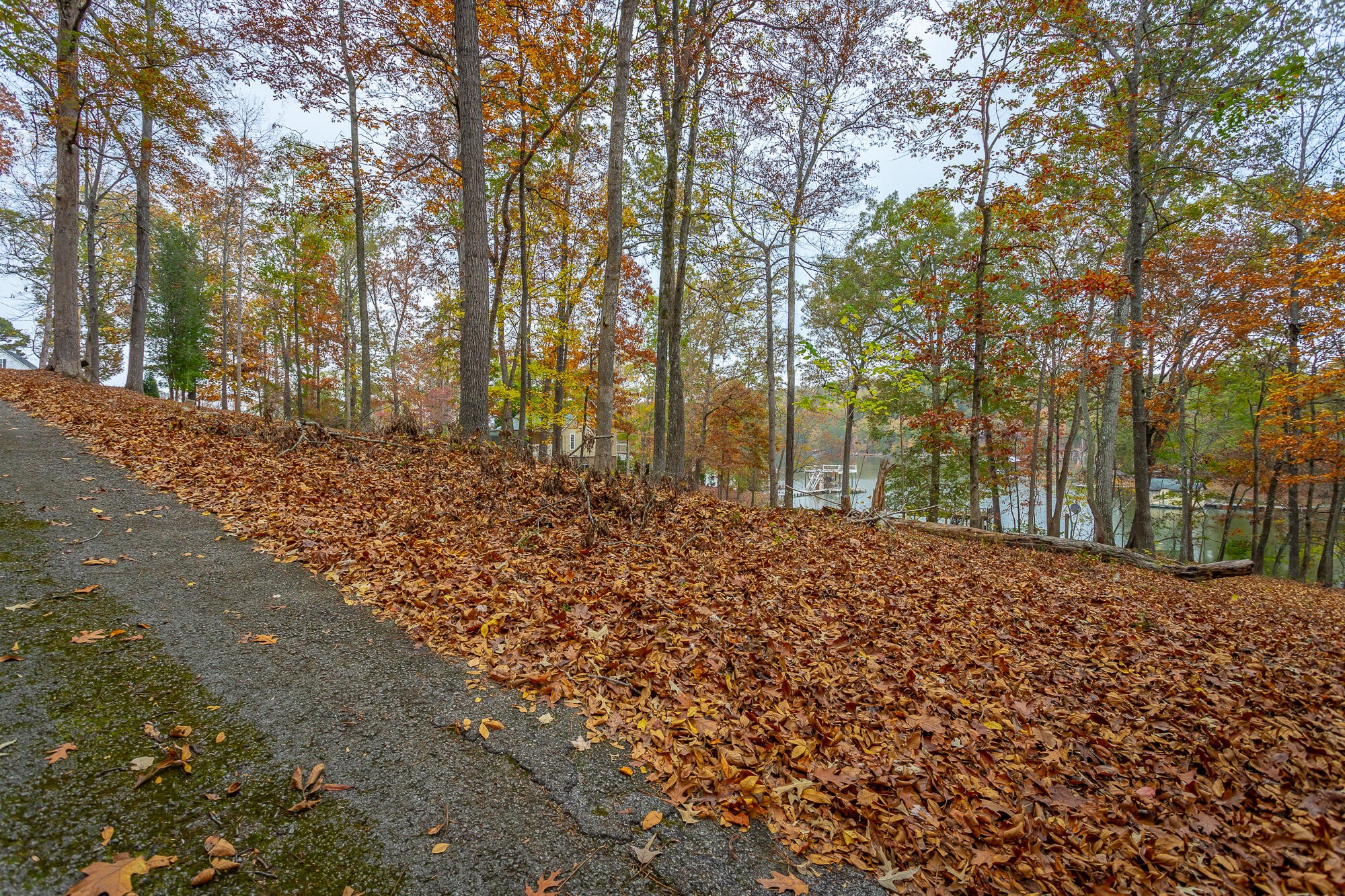 0 Torbett Road Spring City, TN 37381 - Photo 7 of 38