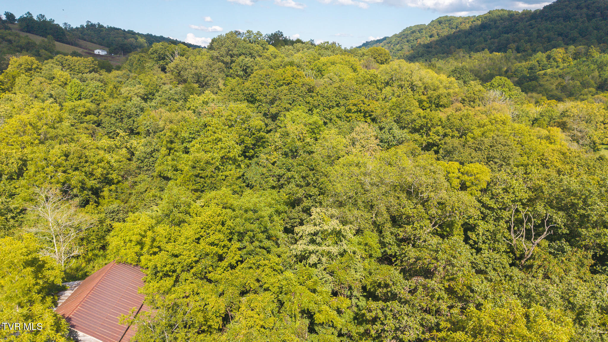 3341 Stoney Fork Road Sneedville, TN 37869 - Photo 14 of 34 DJI_20250830163115_0373_D