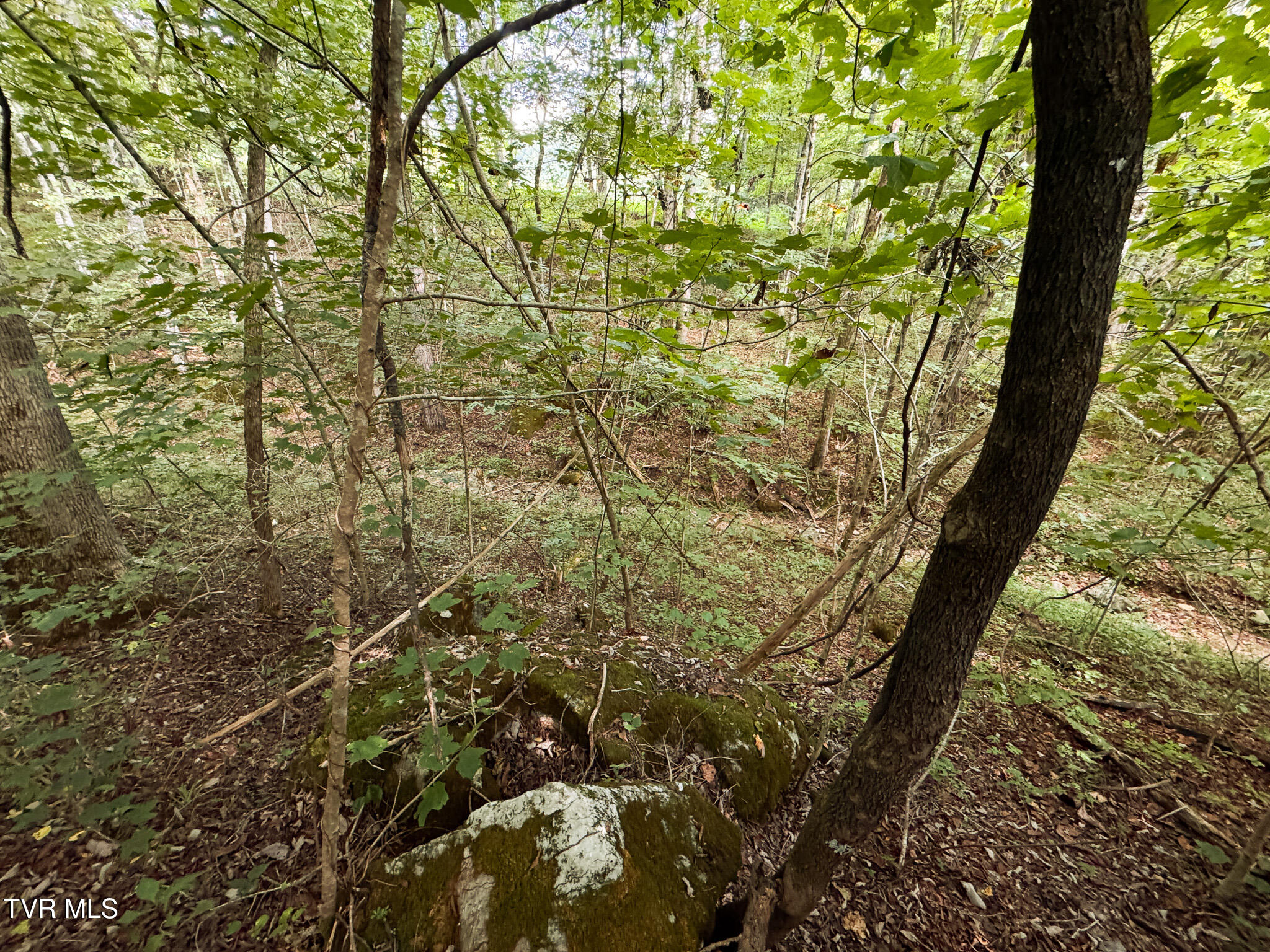 3341 Stoney Fork Road Sneedville, TN 37869 - Photo 17 of 34 IMG_0003