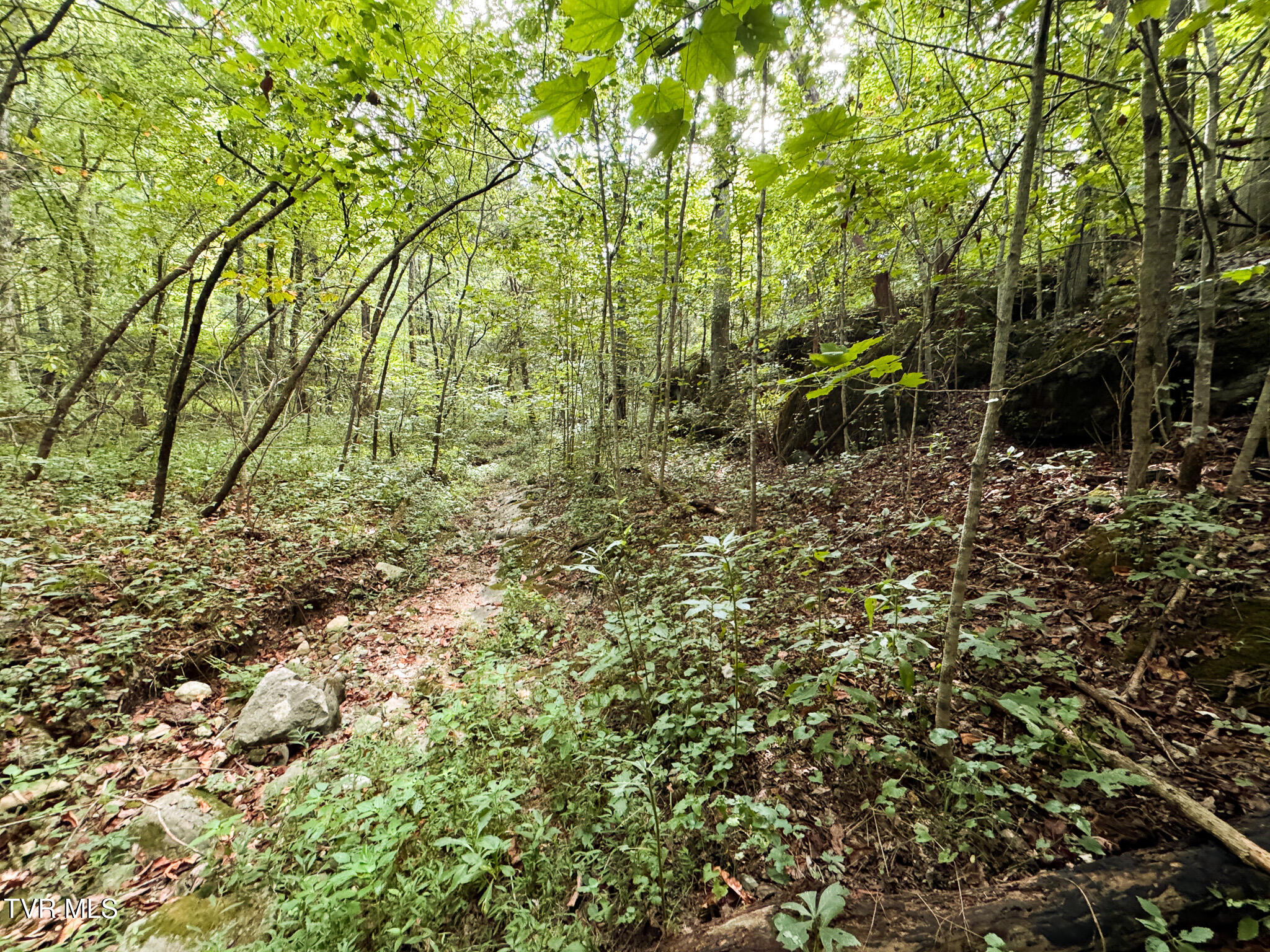 3341 Stoney Fork Road Sneedville, TN 37869 - Photo 18 of 34 IMG_0004