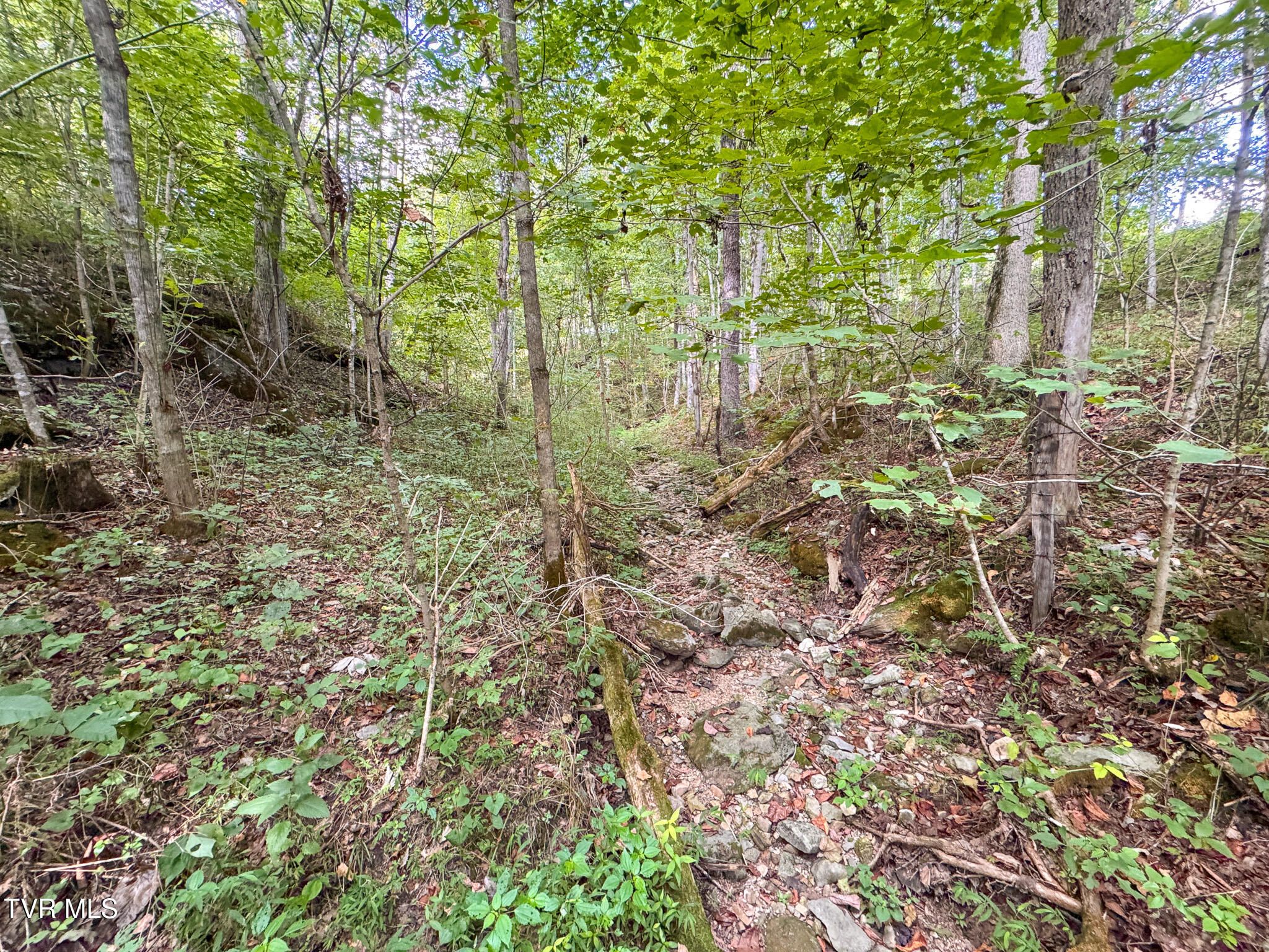 3341 Stoney Fork Road Sneedville, TN 37869 - Photo 19 of 34 IMG_0005