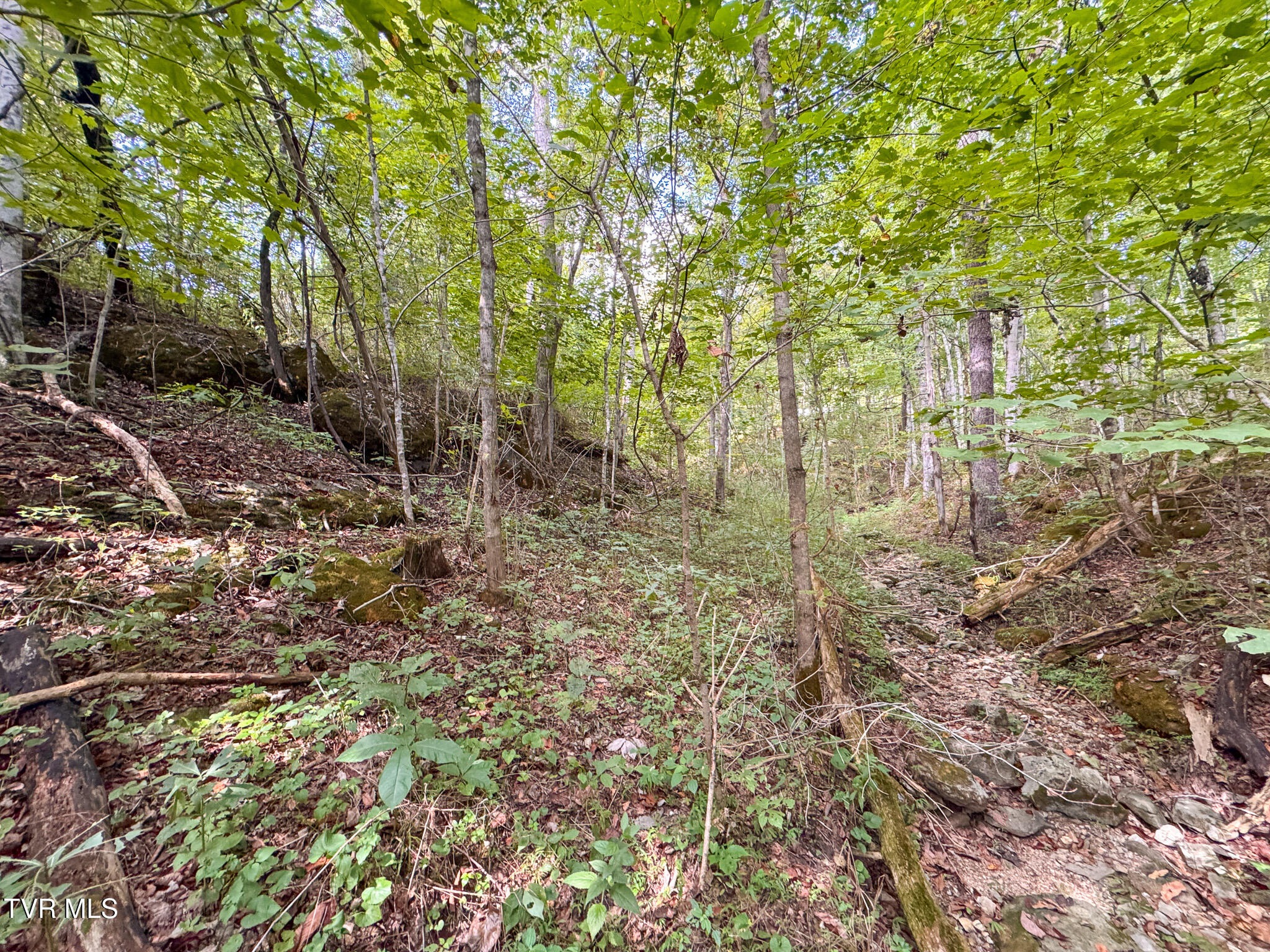 3341 Stoney Fork Road Sneedville, TN 37869 - Photo 20 of 34 IMG_0006