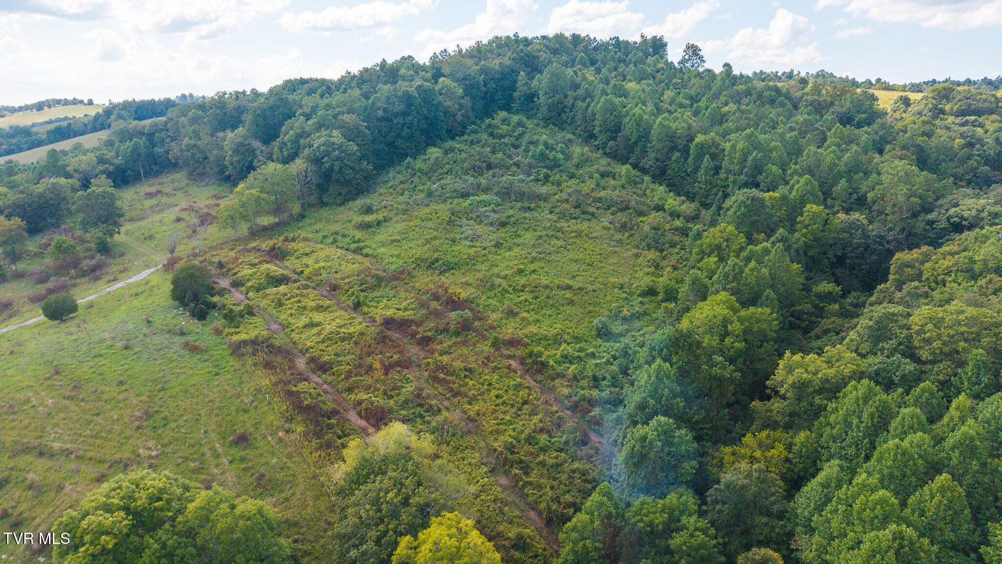 3341 Stoney Fork Road Sneedville, TN 37869 - Photo 2 of 34 DJI_20250830162429_0350_D