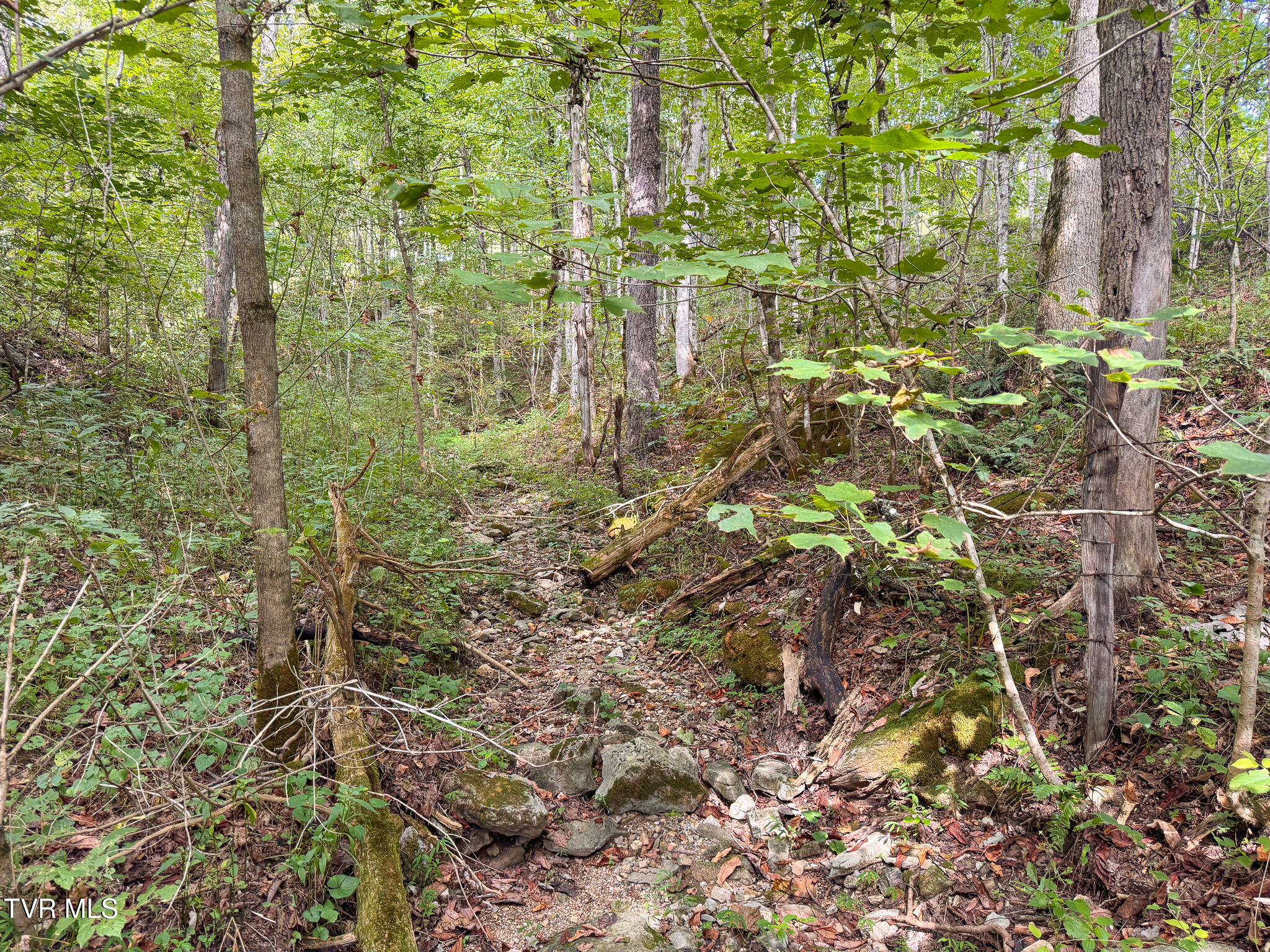 3341 Stoney Fork Road Sneedville, TN 37869 - Photo 21 of 34 IMG_0007