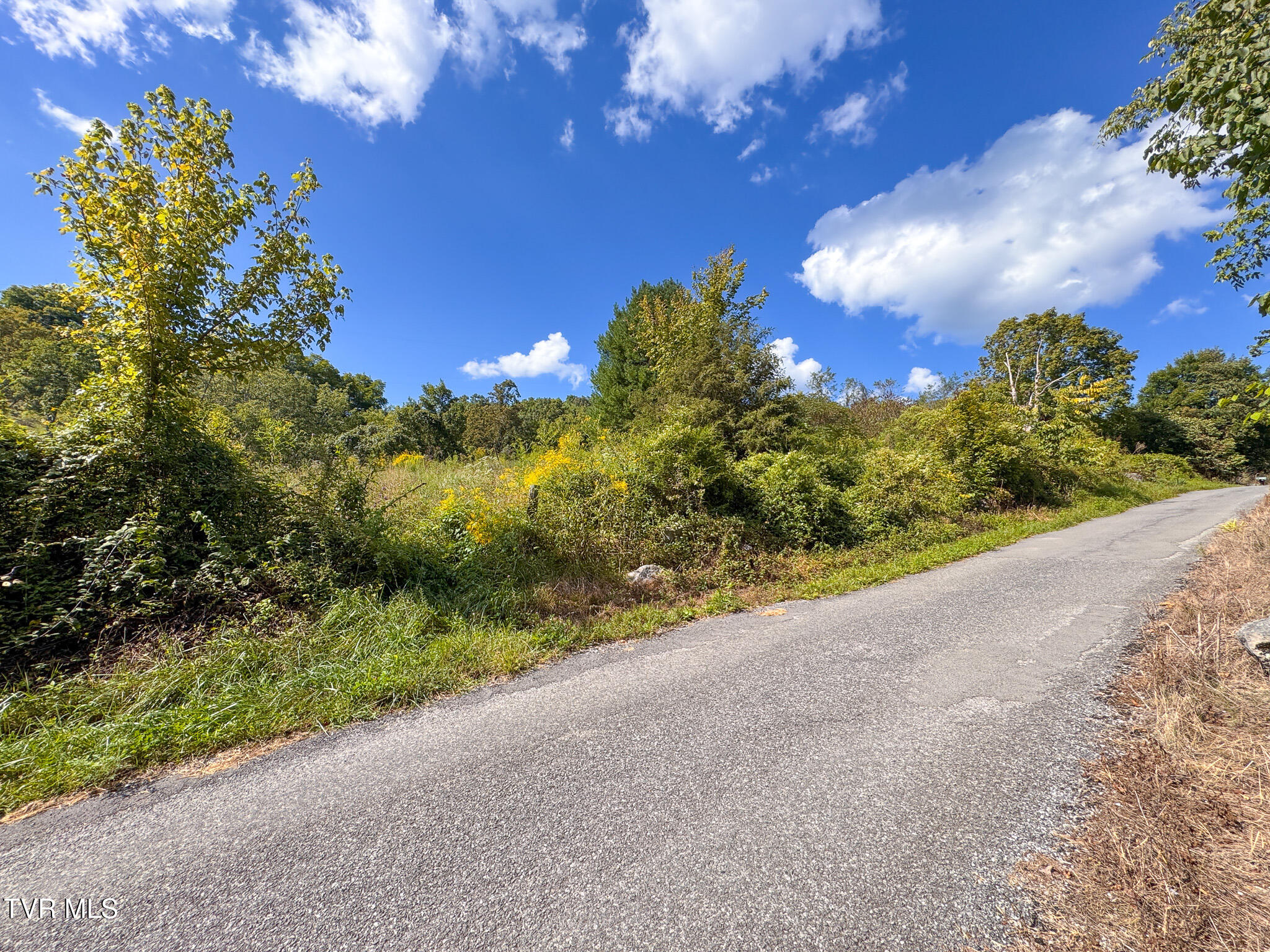 3341 Stoney Fork Road Sneedville, TN 37869 - Photo 23 of 34 IMG_0011