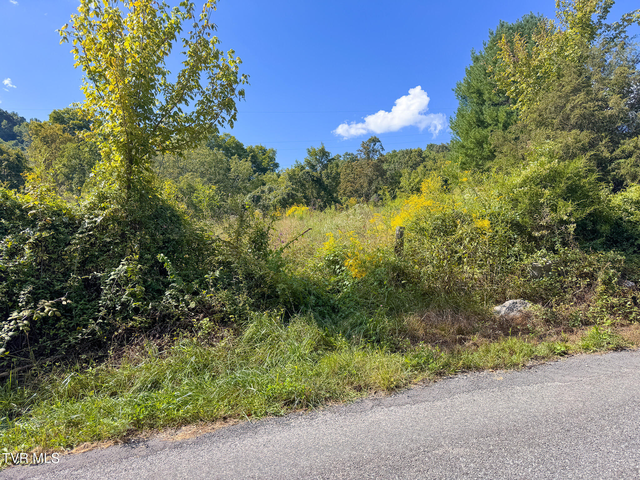 3341 Stoney Fork Road Sneedville, TN 37869 - Photo 24 of 34 IMG_0012