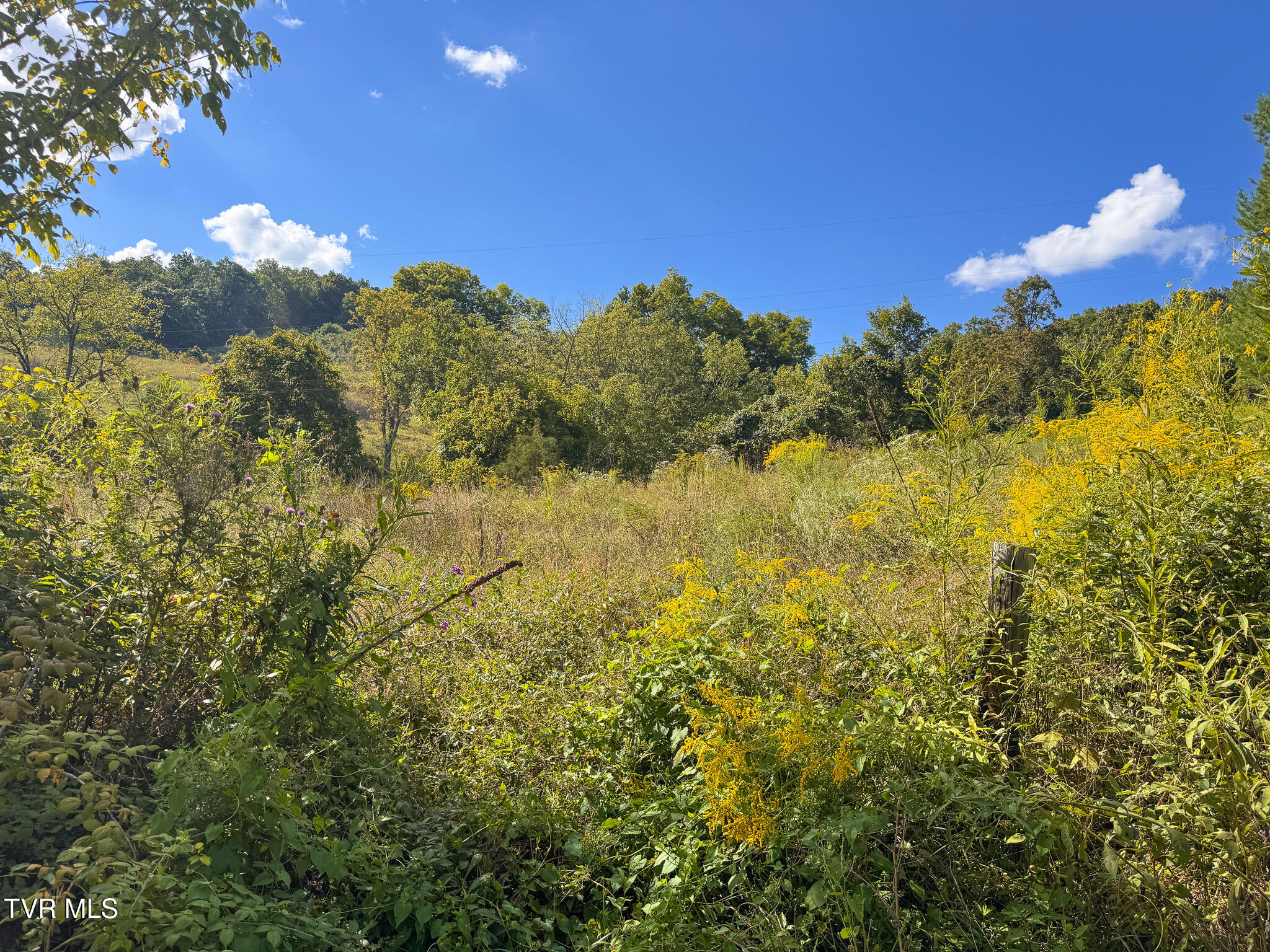 3341 Stoney Fork Road Sneedville, TN 37869 - Photo 25 of 34 IMG_0013