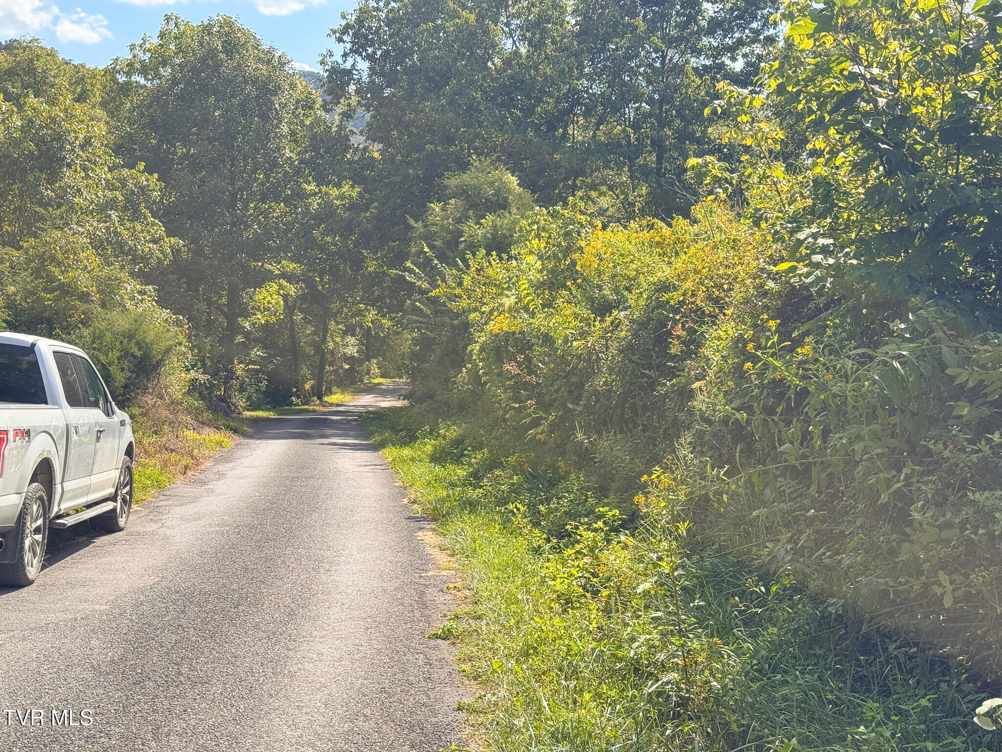 3341 Stoney Fork Road Sneedville, TN 37869 - Photo 26 of 34 IMG_0014