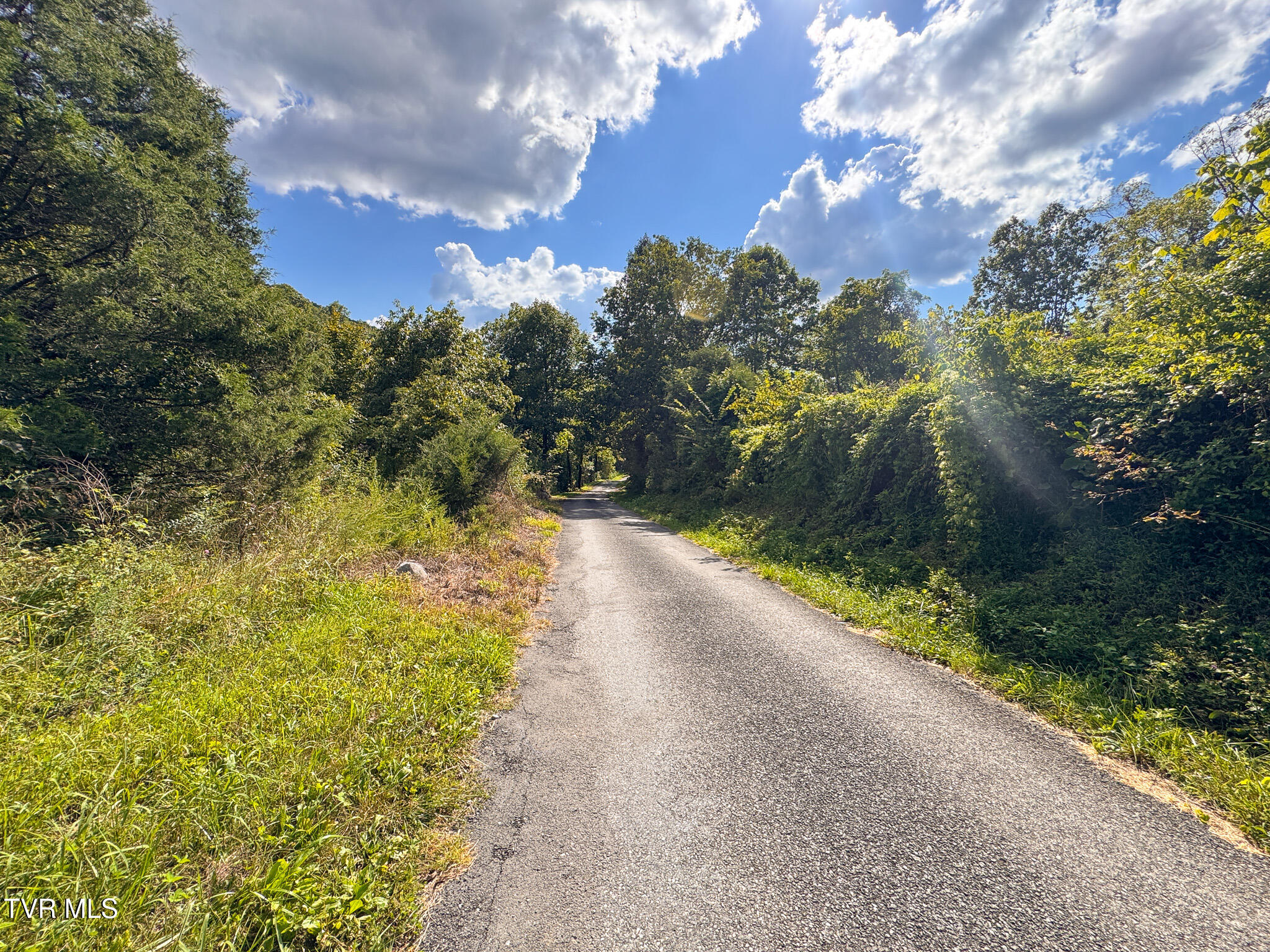 3341 Stoney Fork Road Sneedville, TN 37869 - Photo 27 of 34 IMG_0015