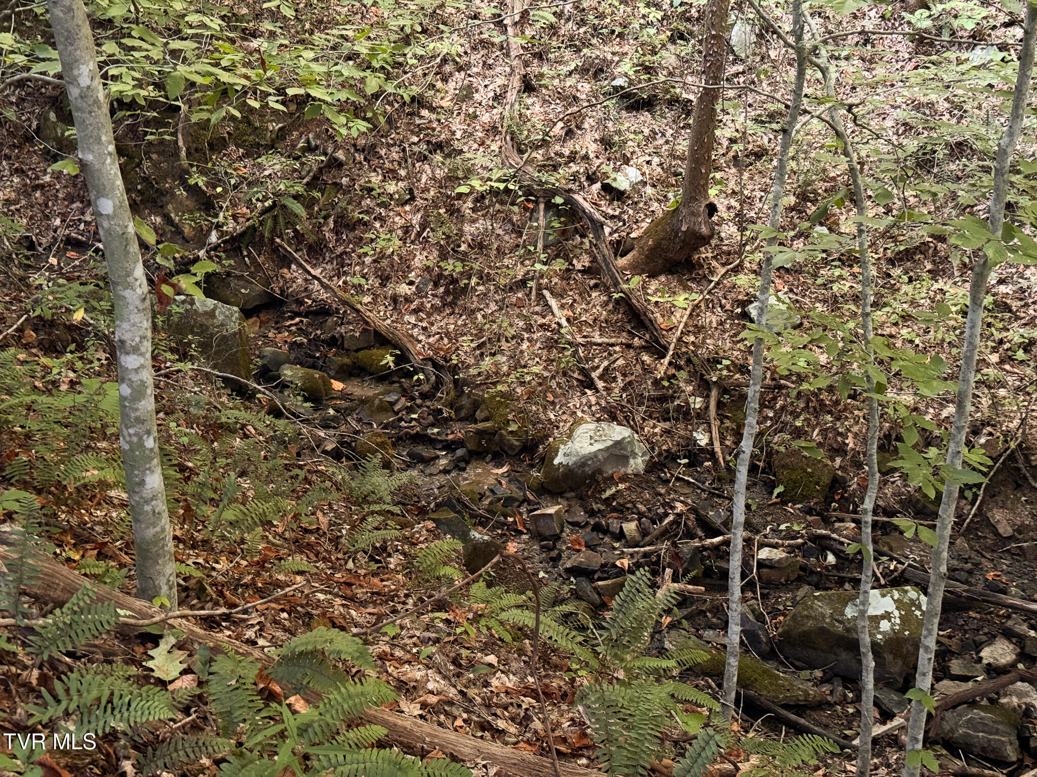 3341 Stoney Fork Road Sneedville, TN 37869 - Photo 28 of 34 IMG_0024