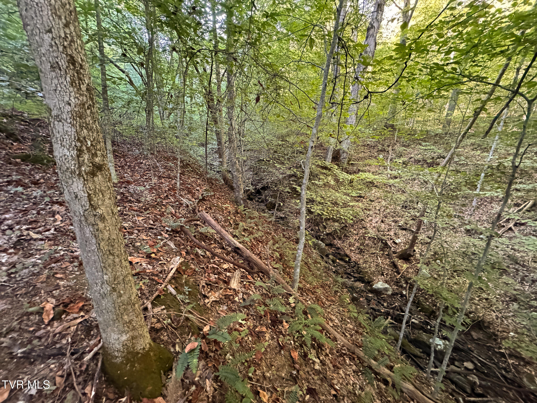 3341 Stoney Fork Road Sneedville, TN 37869 - Photo 29 of 34 IMG_0025